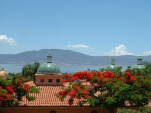 Lake Chapala and Red Flowers