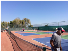 Pick up Pickleball