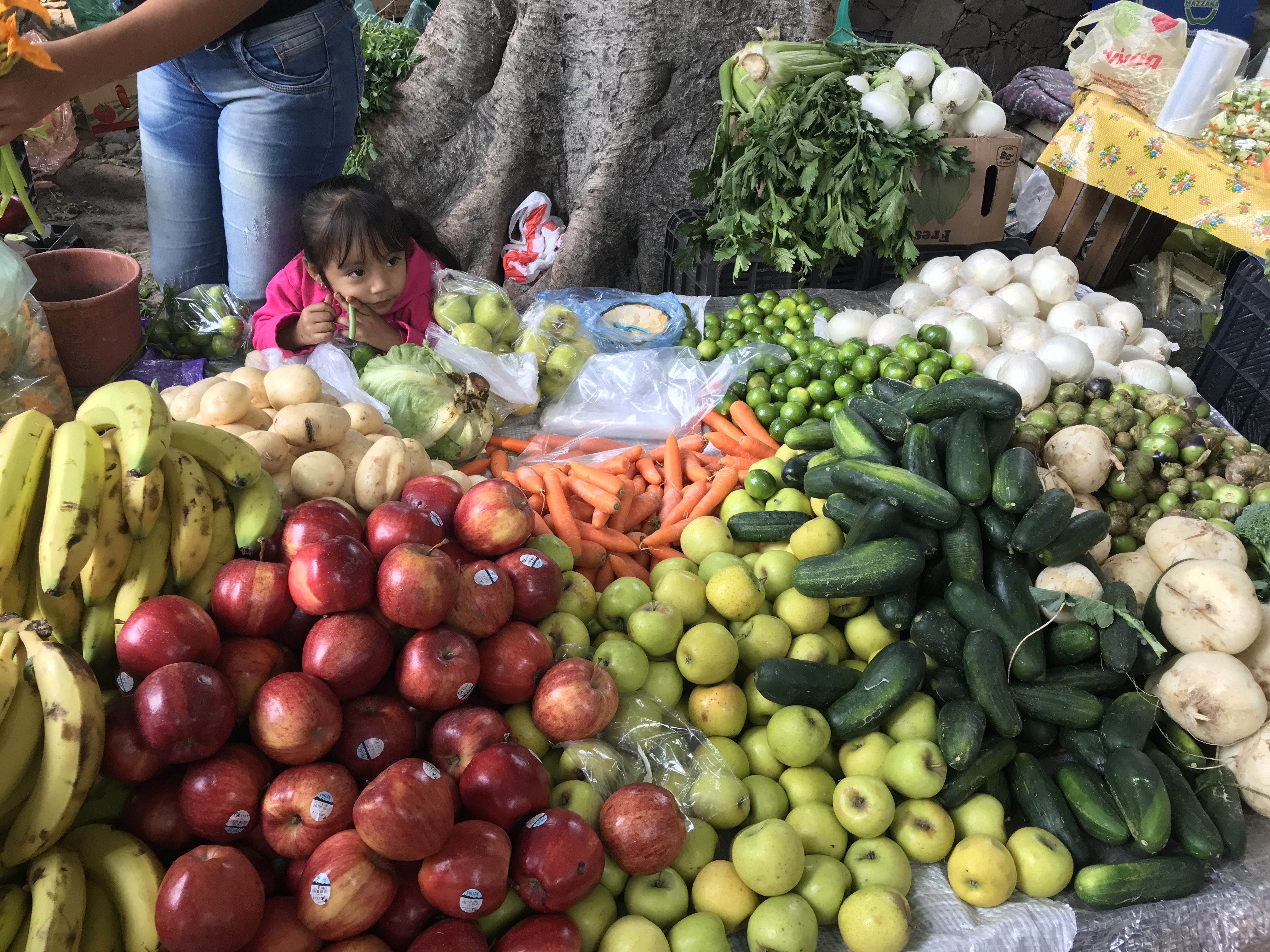 Let's Go to the Market Focus On Mexico
